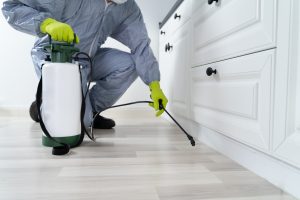 Exterminator Papillion Nebraska